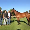 Hinnerk (Wild Oaks) with Daniel and Steve Allam and their filly Lorna May